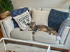 Miles - Photo 3
