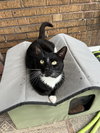 Tucksie - Photo 3