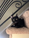 Dee Dee - Photo 2