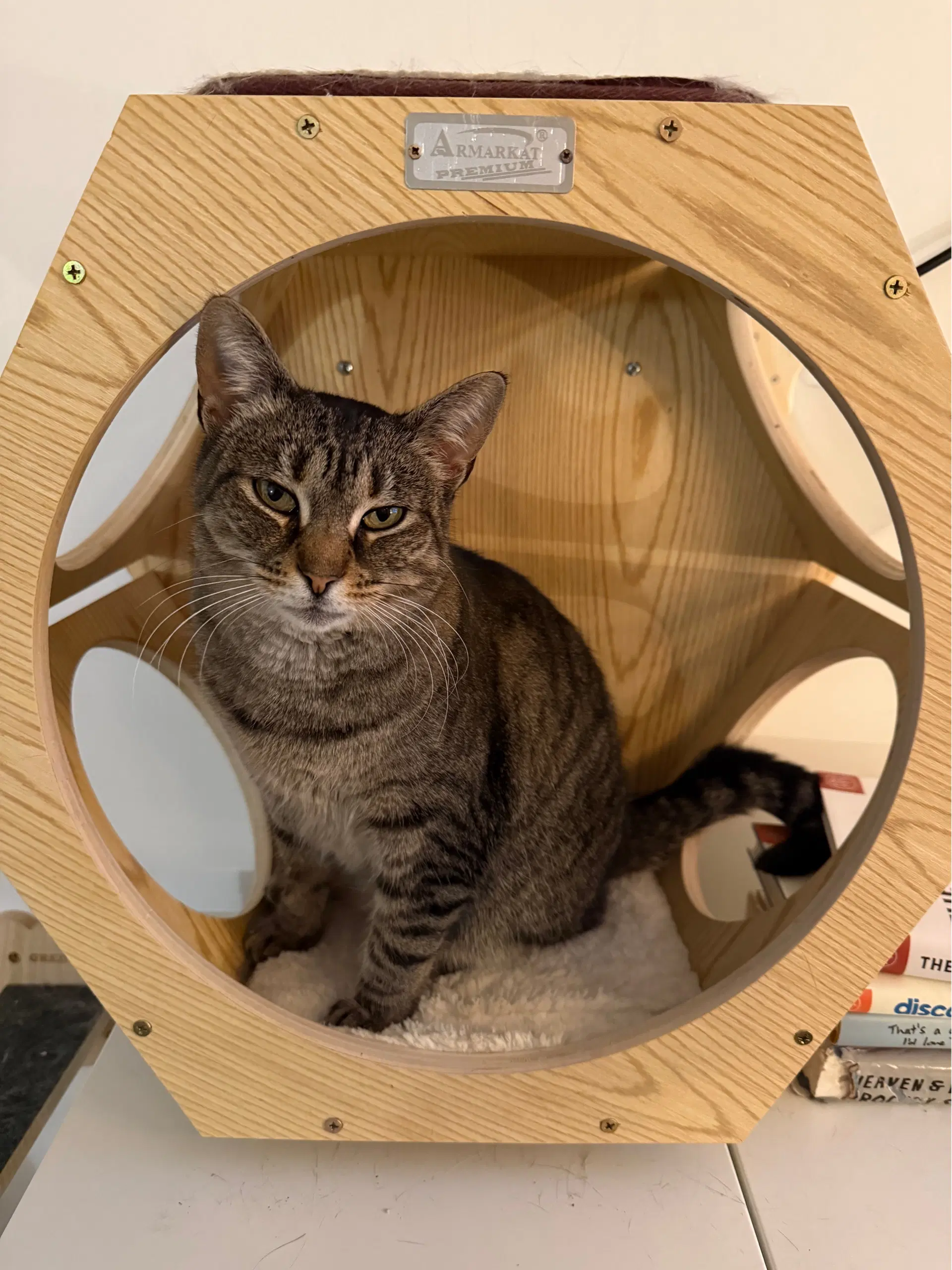 Sophie image 3
