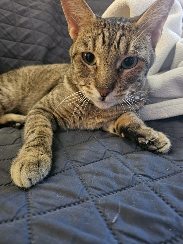 Nick