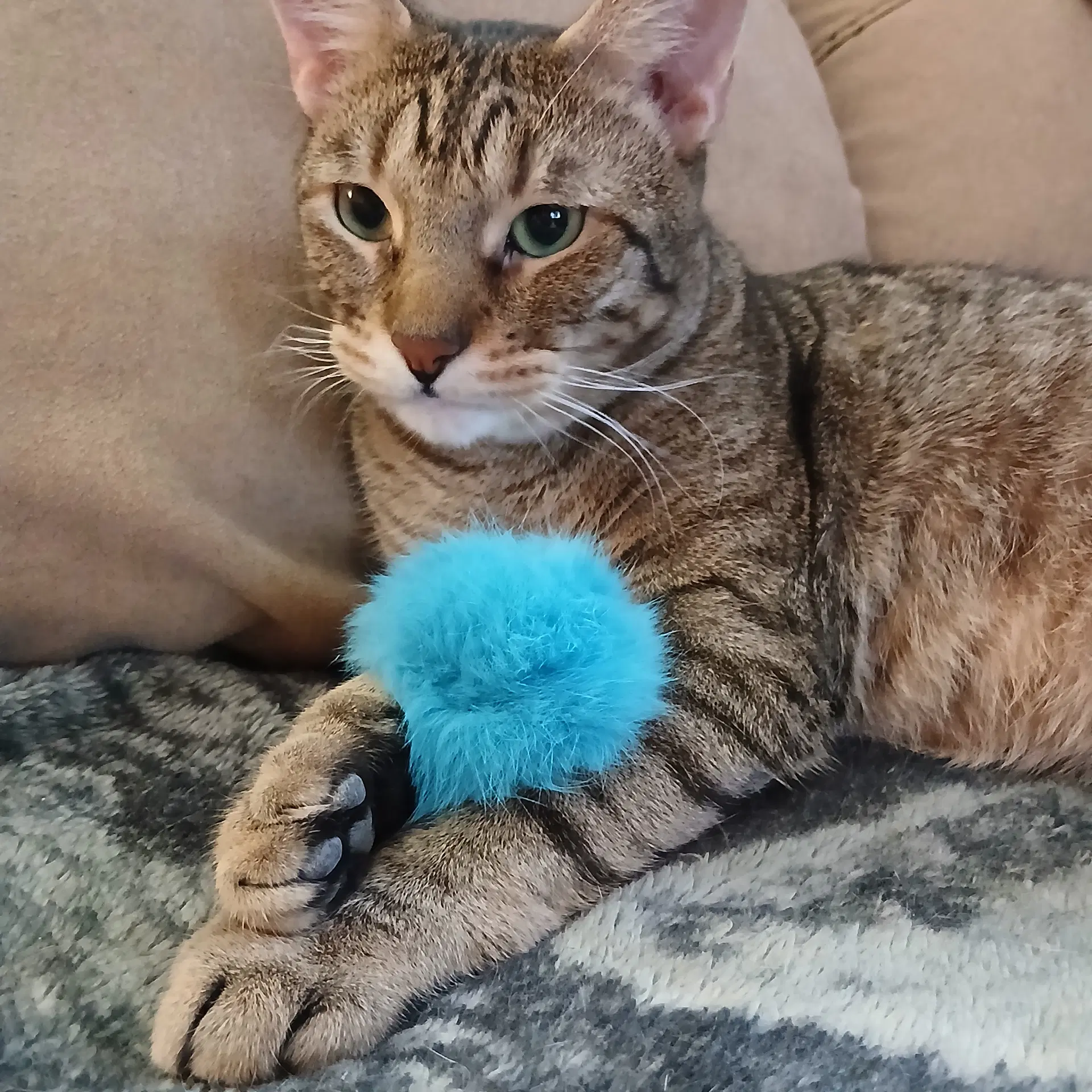 Nick image 3