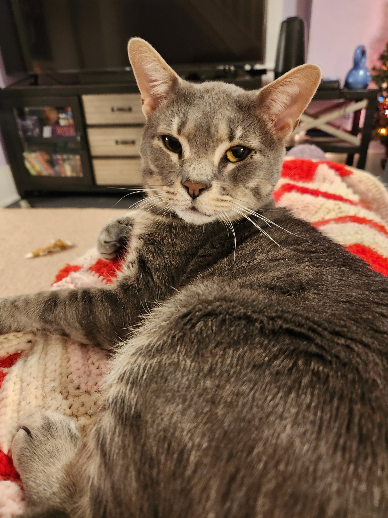 Squish