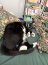 Nance - Photo 2