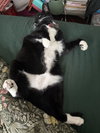 Nance - Photo 2