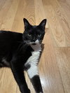 Taffy - Photo 2