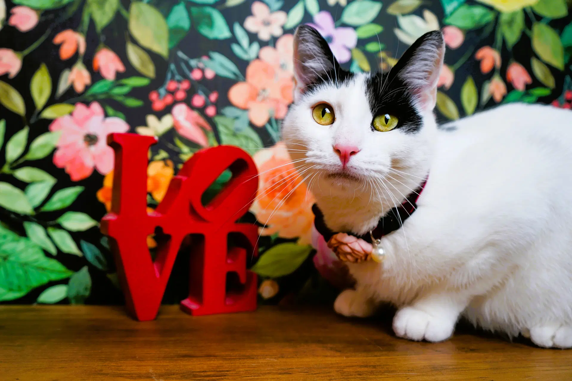 Valentine image 2