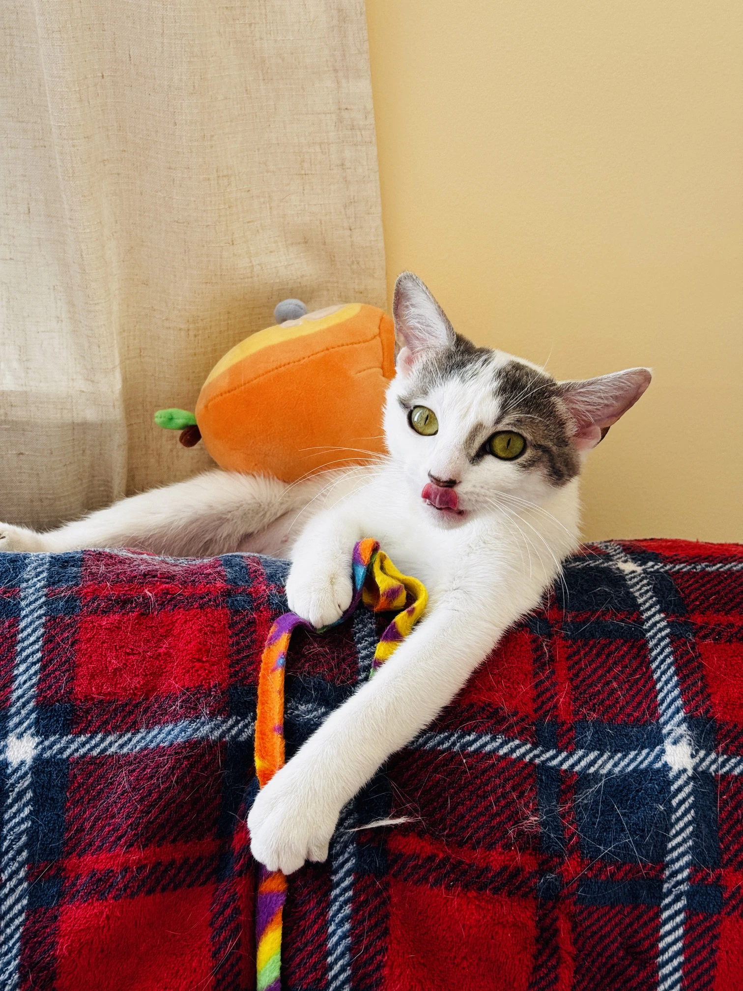 Pip