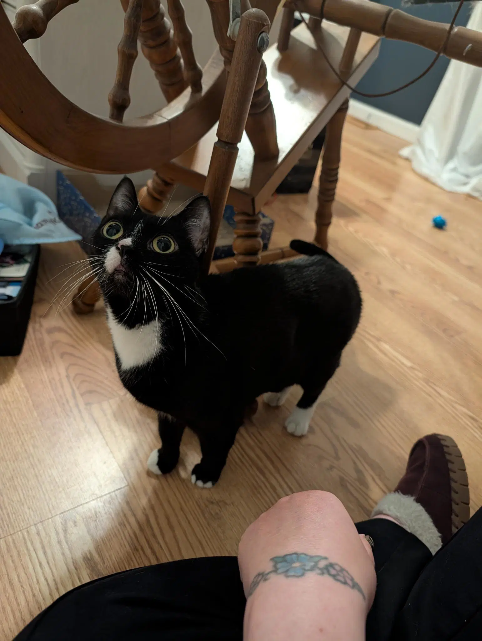 Kira image 2