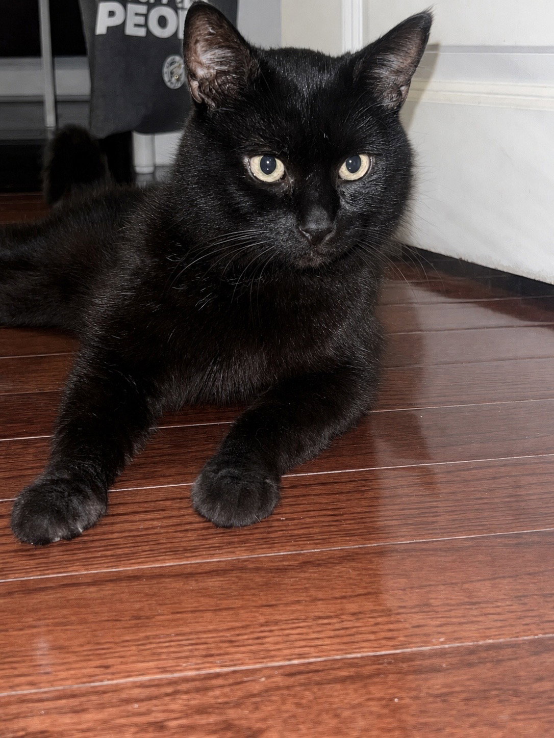 Midnight, photo 6