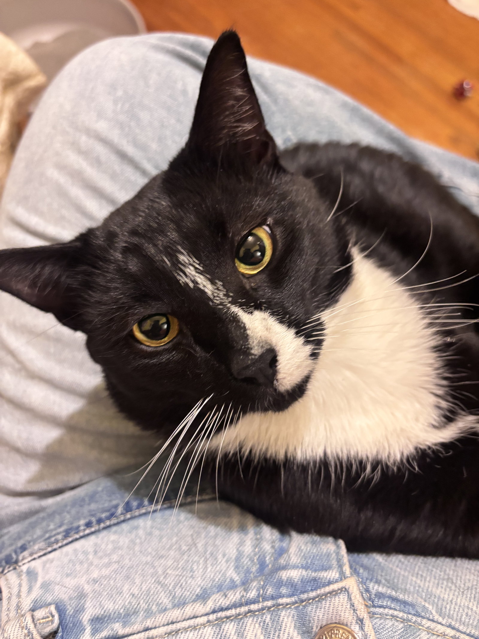 Binx