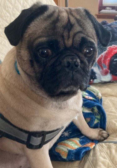 Duke