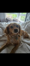 Bella - Photo 3