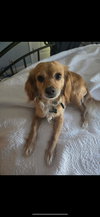 Bella - Photo 4