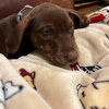 Noah - Photo 5