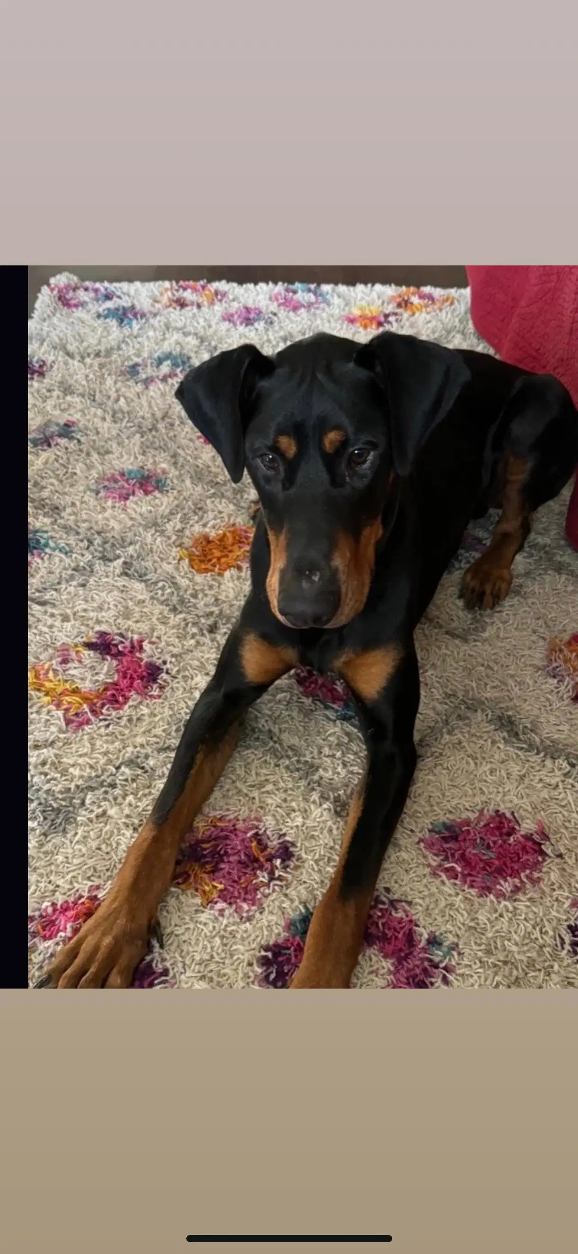 Deebo image 3
