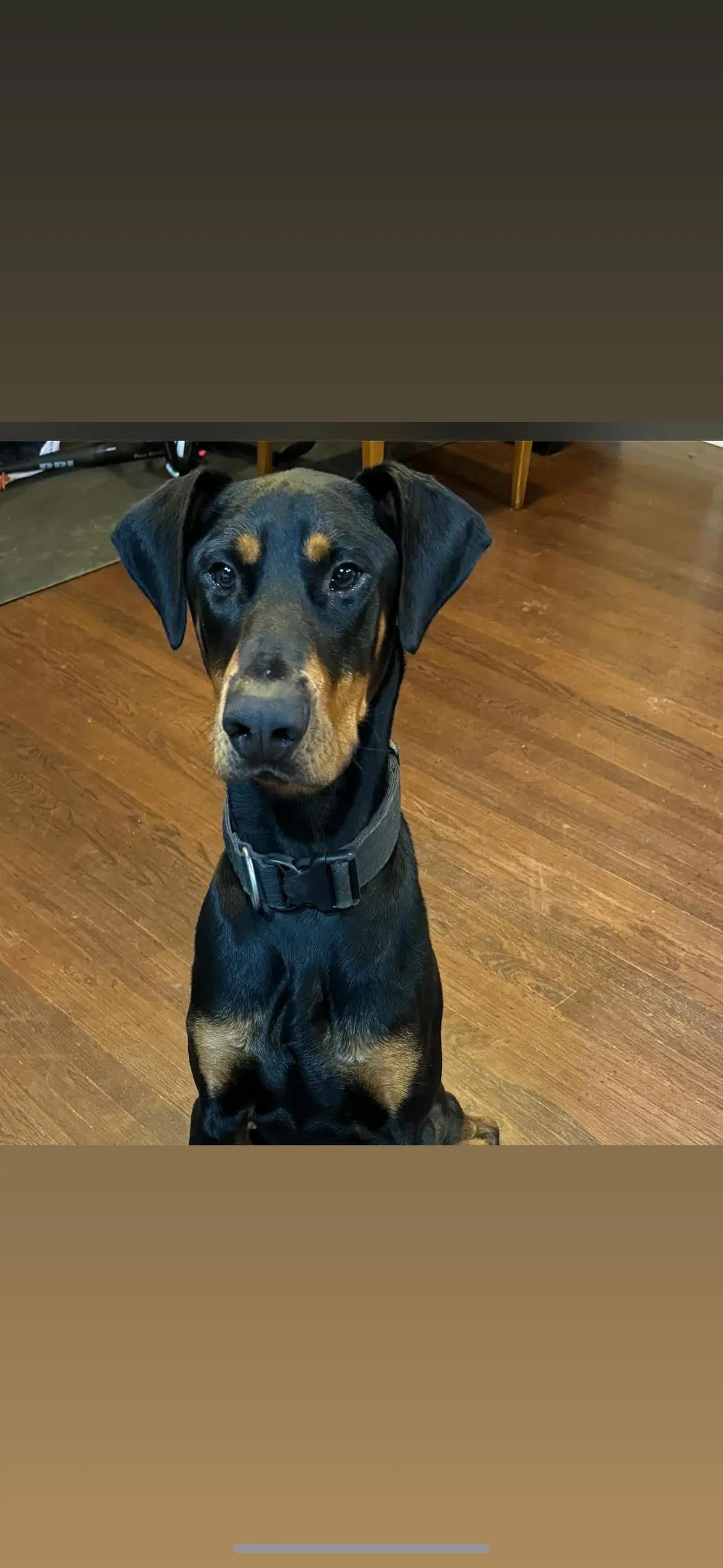Deebo image 4