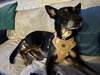 Sigmond - Photo 1
