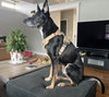 Sigmond - Photo 3