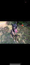 Sigmond - Photo 5