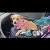 Bonnie - Photo 5