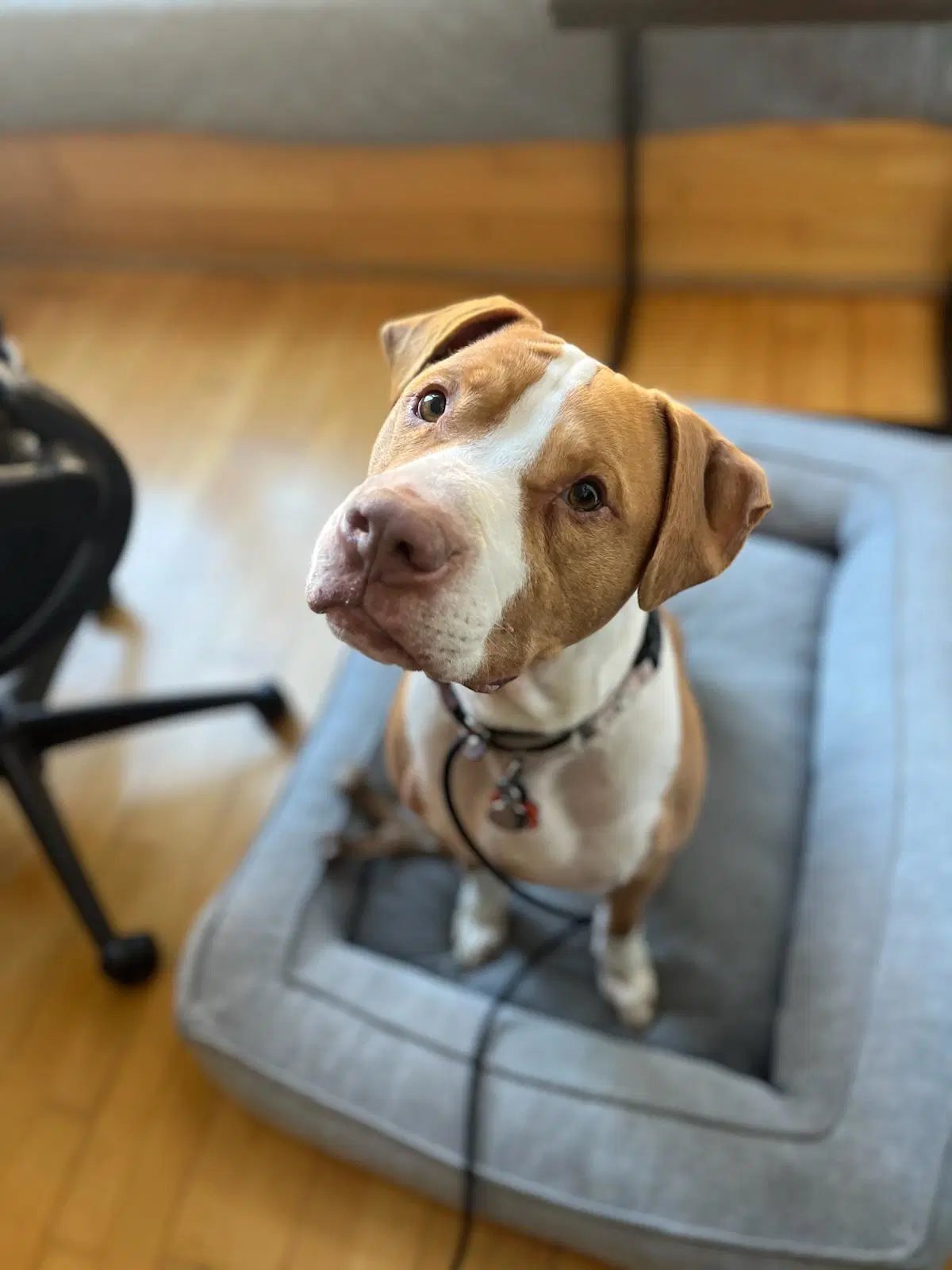 Riley image 3
