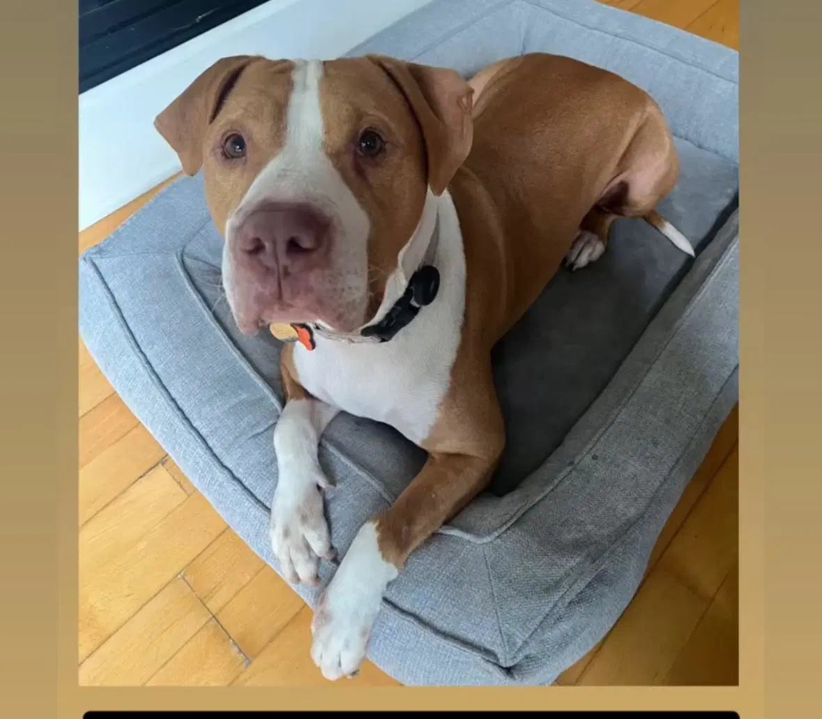 Riley image 4