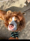 Riley - Photo 5