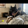 Sigmond - Photo 2
