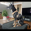 Sigmond - Photo 5