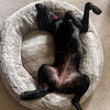 Sasha - Photo 2