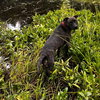 Sasha - Photo 3