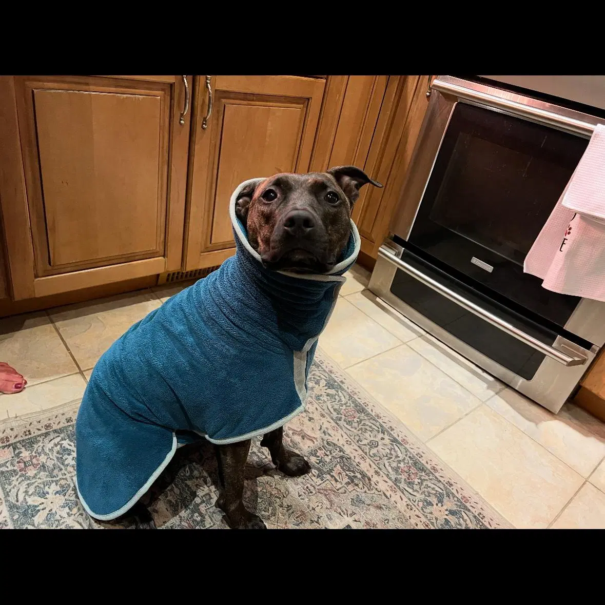 Sasha image 4