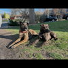 Sasha - Photo 6
