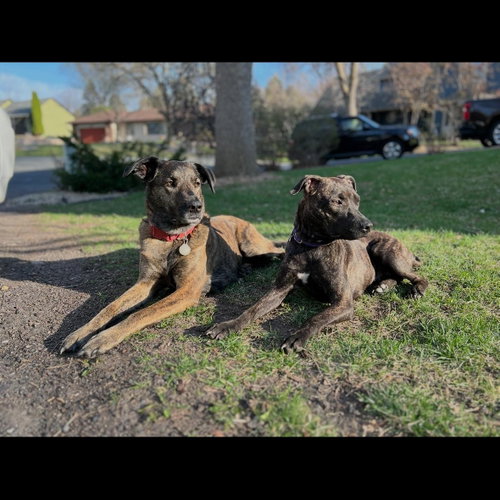 Sasha photo 6