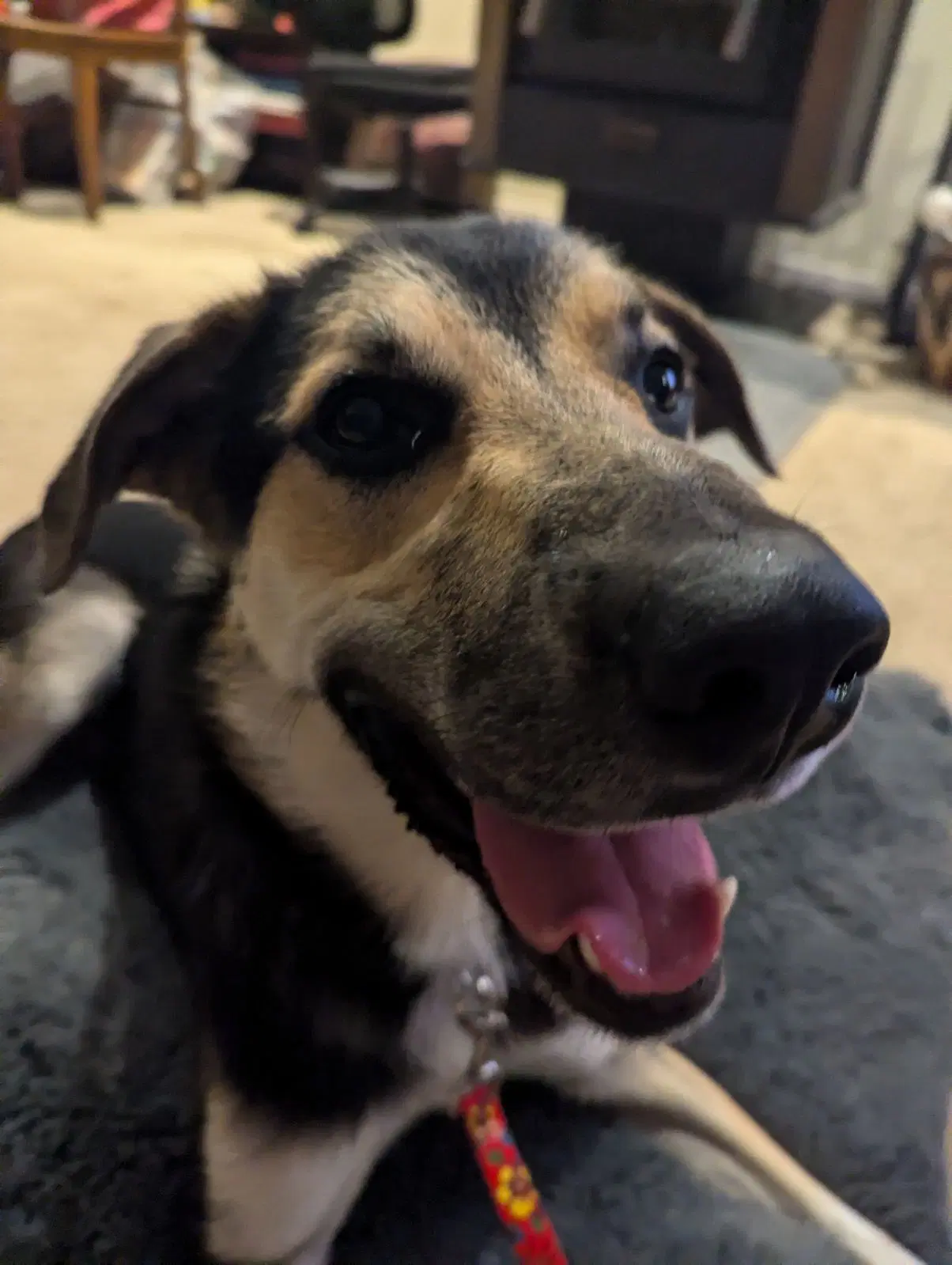 Jude image 3