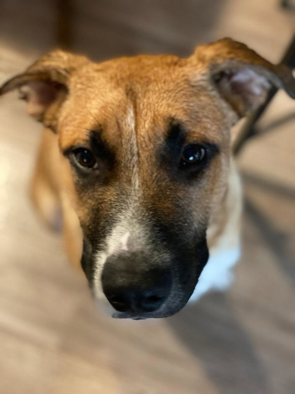 Buster
