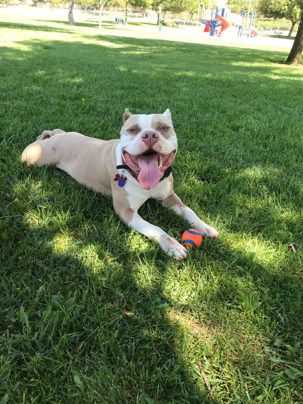 Zeus  **Courtesy Listing**