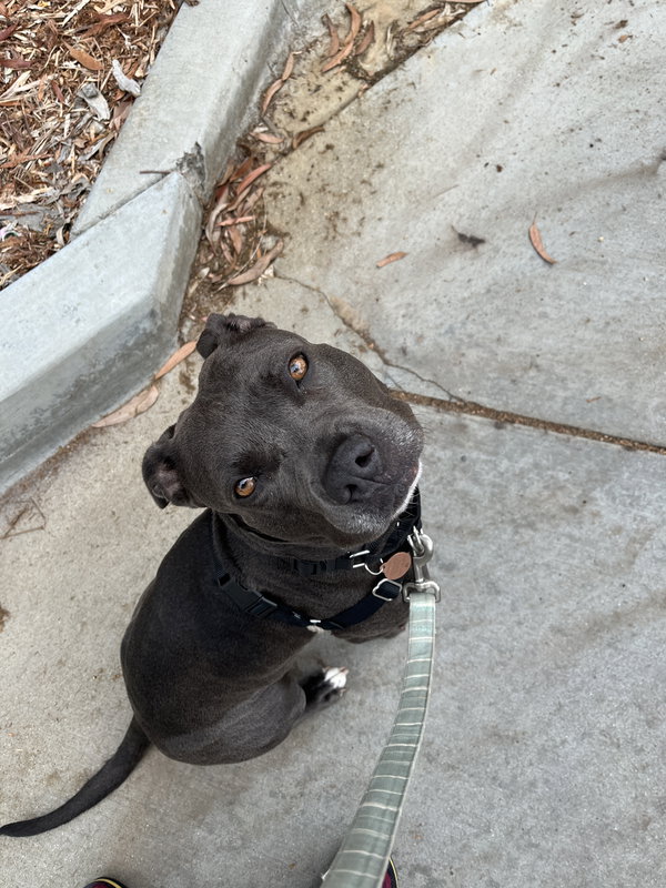 Suki **Courtesy Listing**