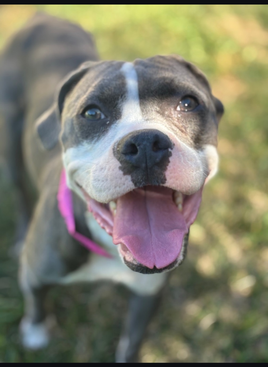 Mabel Image