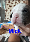 Mick-Muffin
