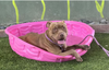 Dozer