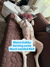 Gabby