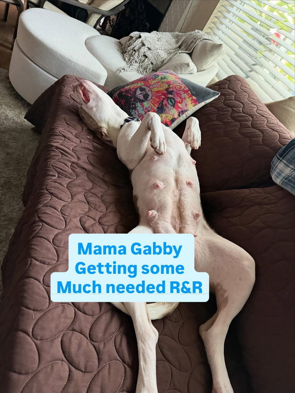 Gabby
