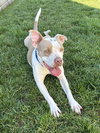 Gabby - Photo 7