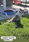 Gabby - Photo 8