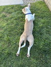 Gabby - Photo 9