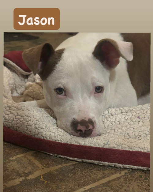 Jason