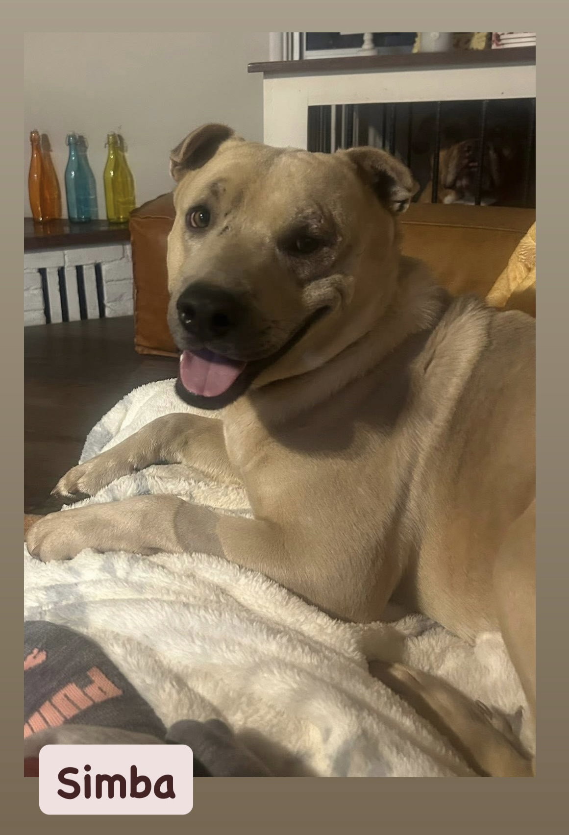 Simba