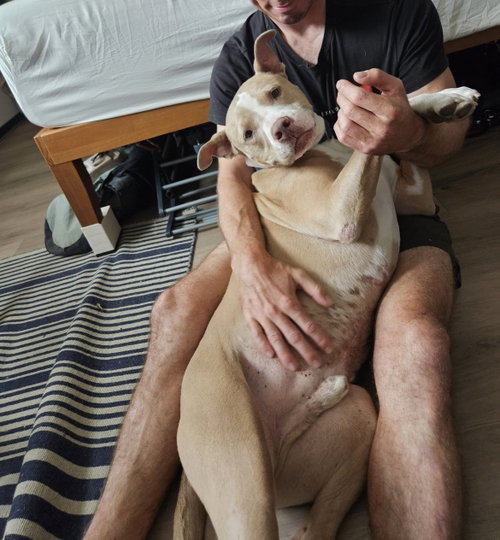 Canelo - *Courtesy Listing photo 2